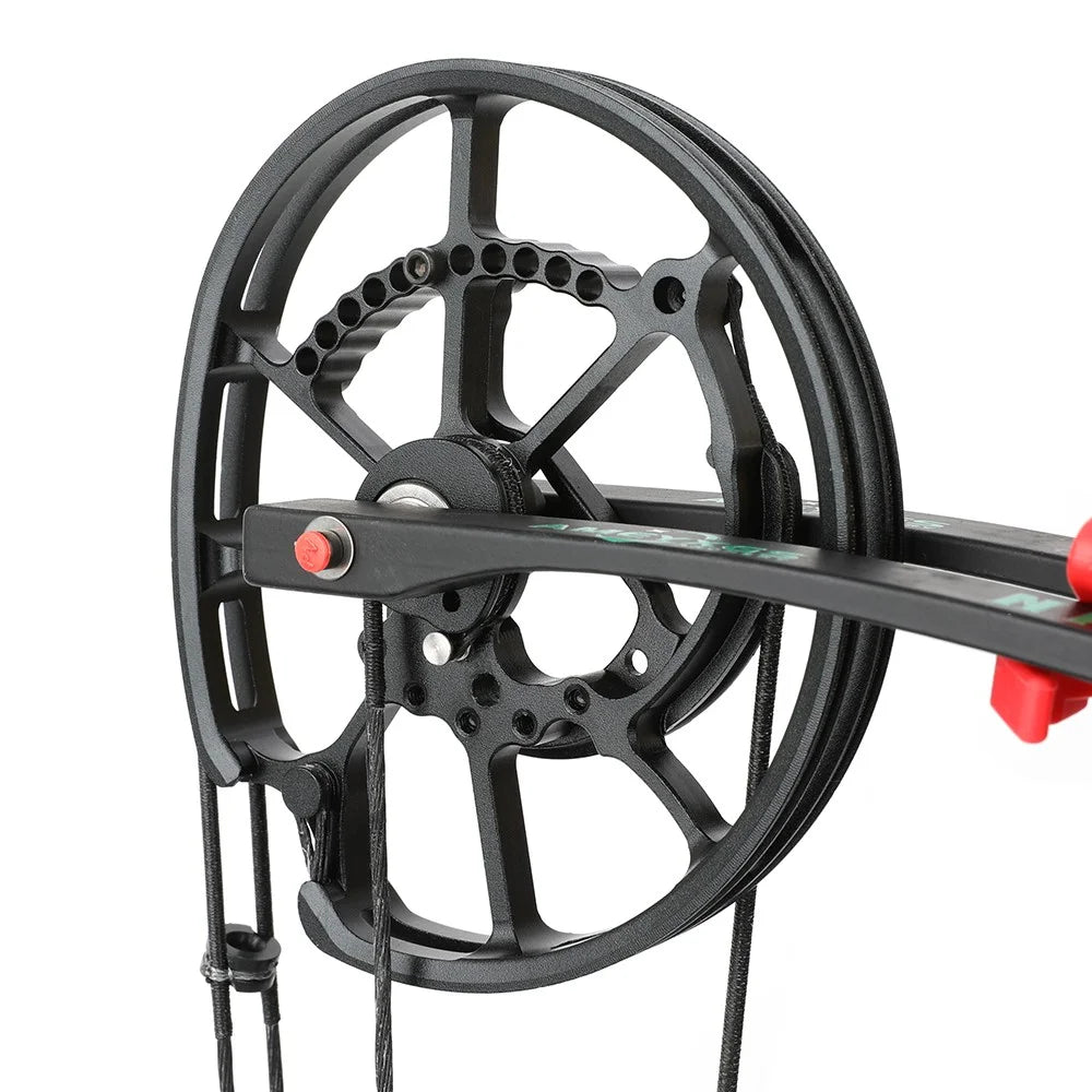 30-70lbs Compound Bow Adjustable Dual-Purpose 80% Let-off High Speed 420FPS for Hunting Shooting Steel Ball and Target Practice Right Hand Archery