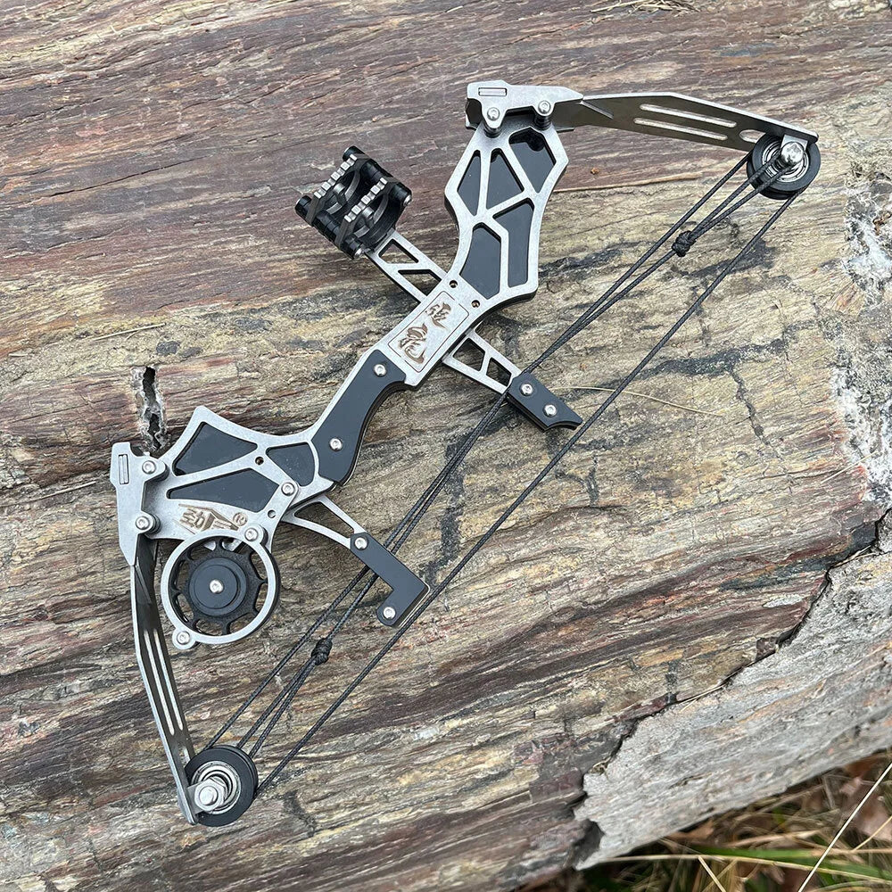 Compound Mini Bow 12lbs 12pcs Arrows Stainless Steel 20-30m Range Small Pulley Bow for Indoor Outdoor Entertainment Gift