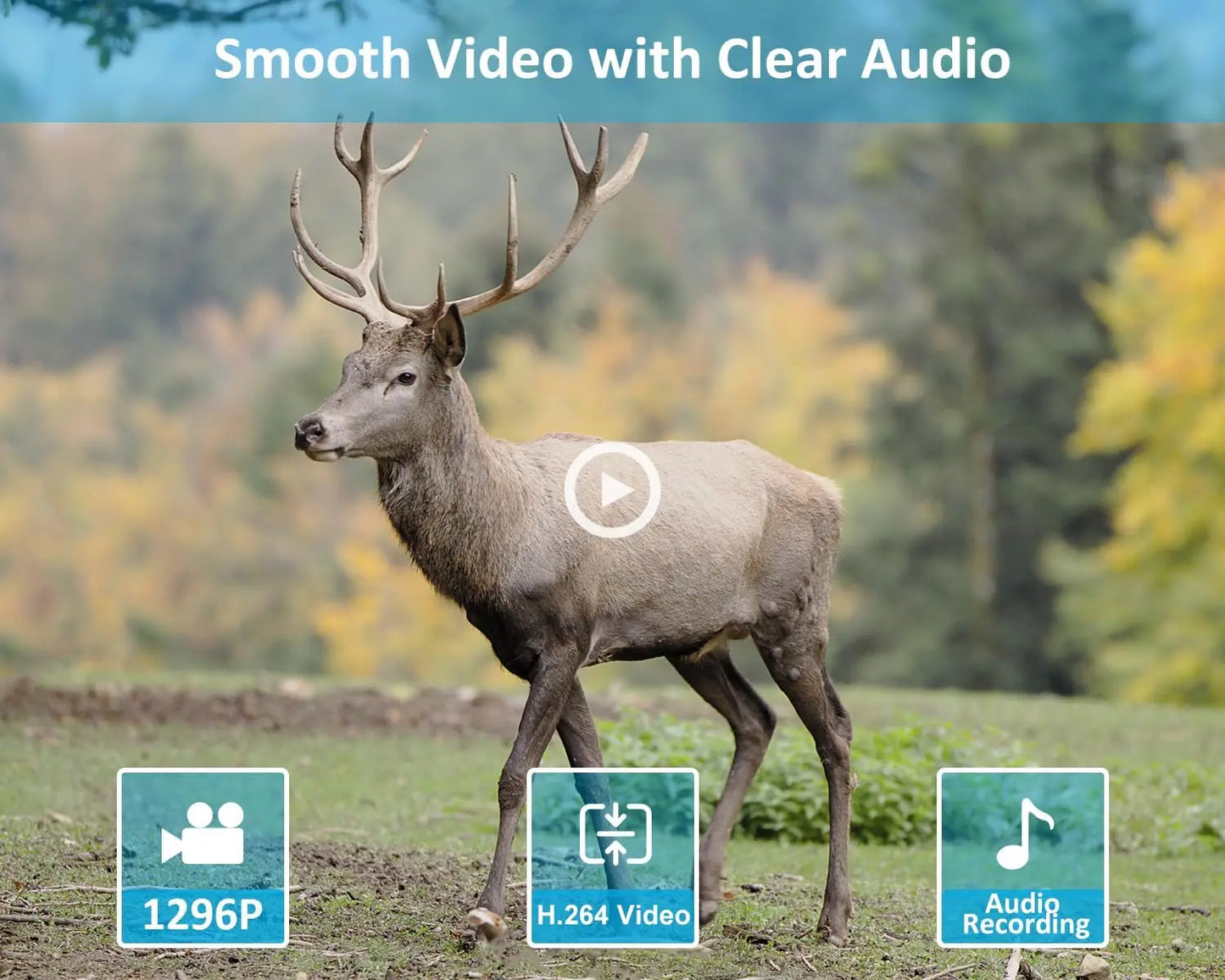 2-Pack Trail Camera, 64MP Photo & 1296P HD Video, 0.1s Trigger, 100ft Night Vision, Motion Activated for Wildlife