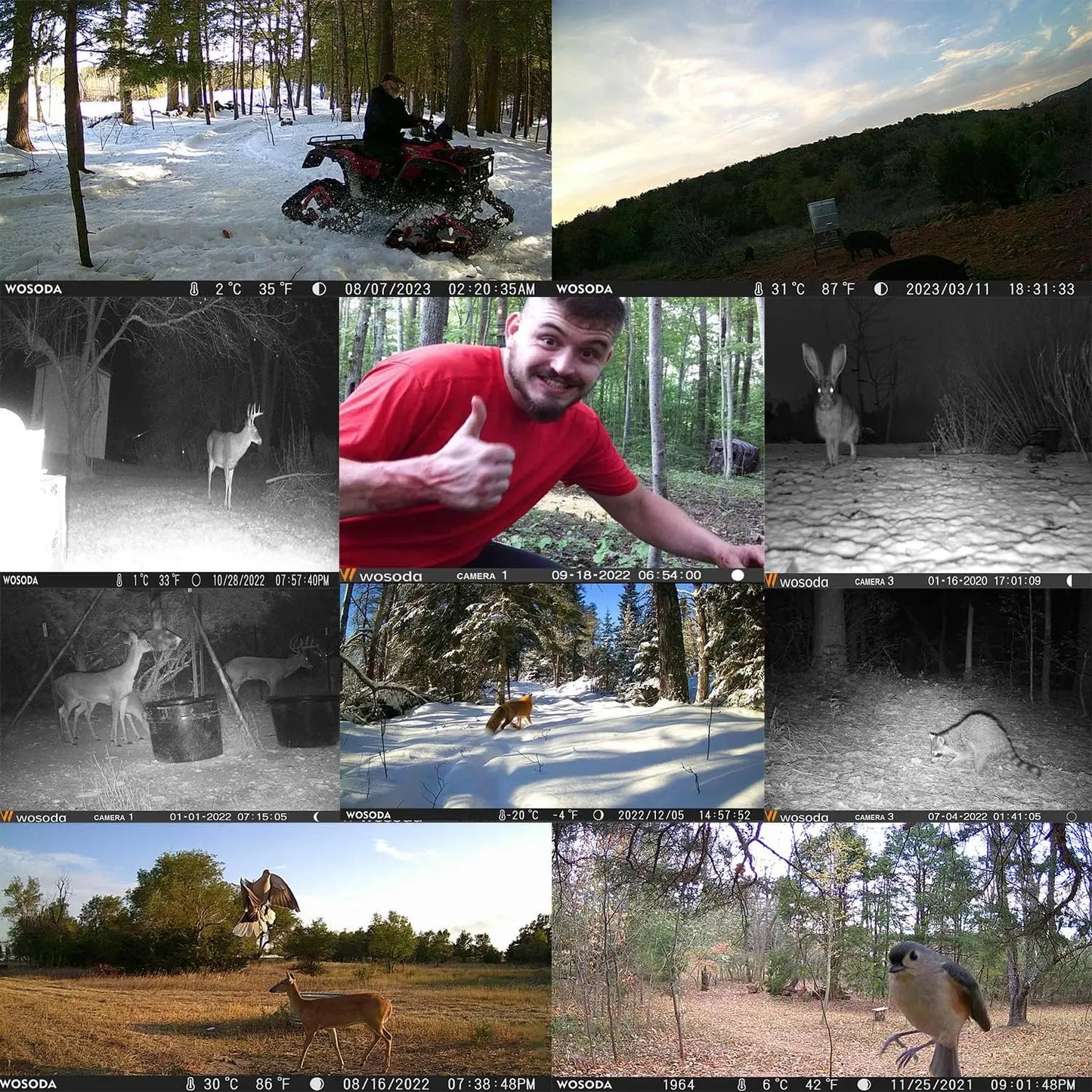 36MP 1920P Trail Camera,Game Camera with Night Vision Motion Activated 0.2s Trigger Time120°Wide Sensor Deer Cam Waterproof with