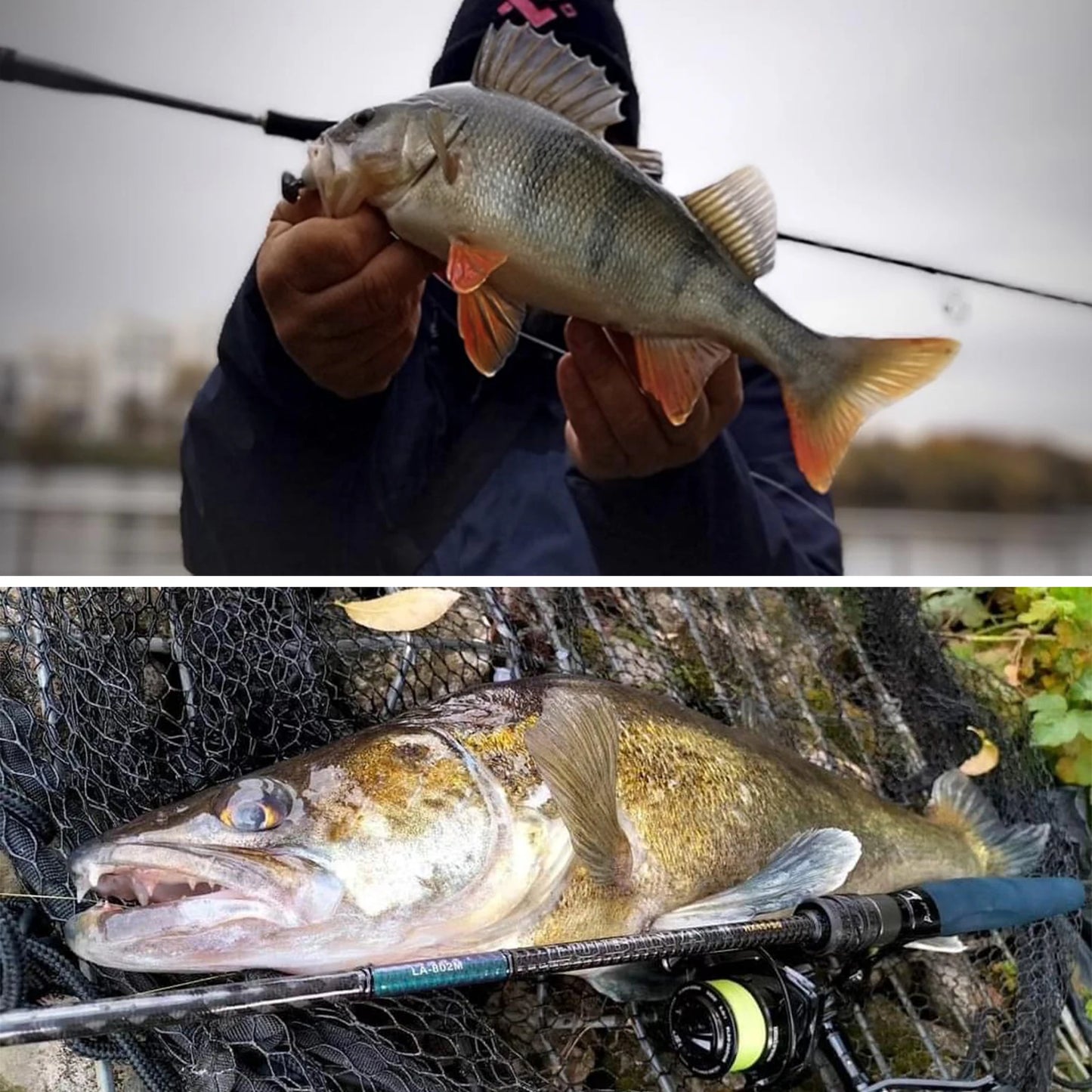 PURELURE LUBINA Pro Spinning Rod Medium Power Shore Fishing Rod M40X+T1100G Carbon Fiber FUJI Alconite Guide One-Piece Carbon Handle FUJI VSS Reel Seat
