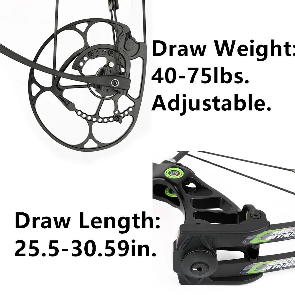 Compound Bow with Arrow Set 40-75lbs 29" Axle-Axle CNC Machining 350FPS 85% Let-off for Archery Hunting Shooting Target Practice Competition Accessories