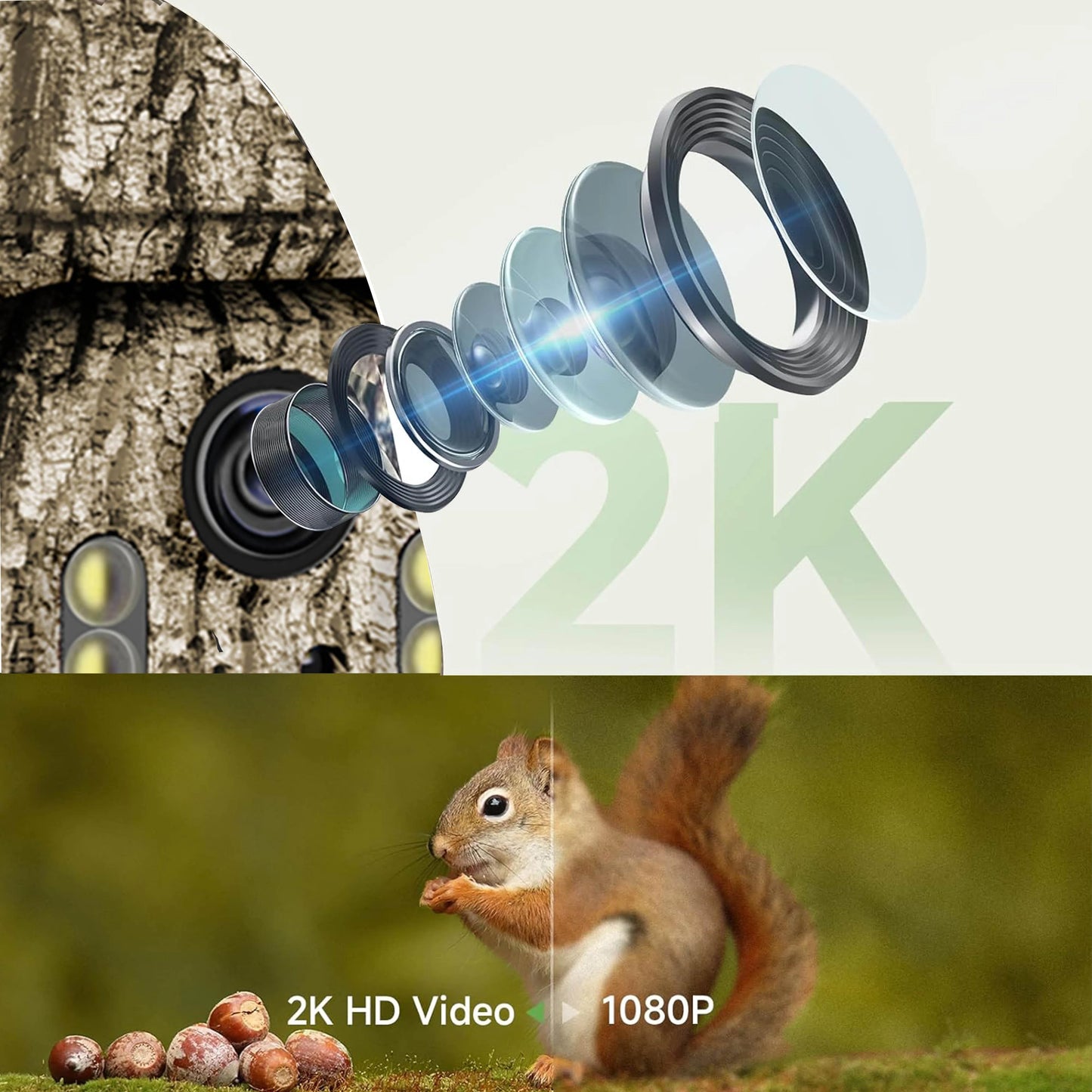 4G LTE Solar Trail Camera with 360° Live-View: 2K HD, Cellular Data Enabled for Continuous Security & Wildlife Monitoring