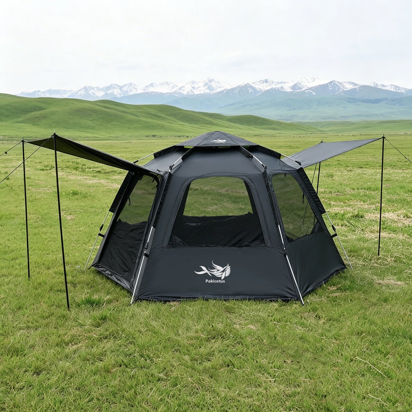 PAKICETUS Dome Camping Tent 2-5 Person Instant Setup 1 Minute Easy Assembly Double Doors Lightweight Portable Backpacking Tent for Outdoor Hiking Travel