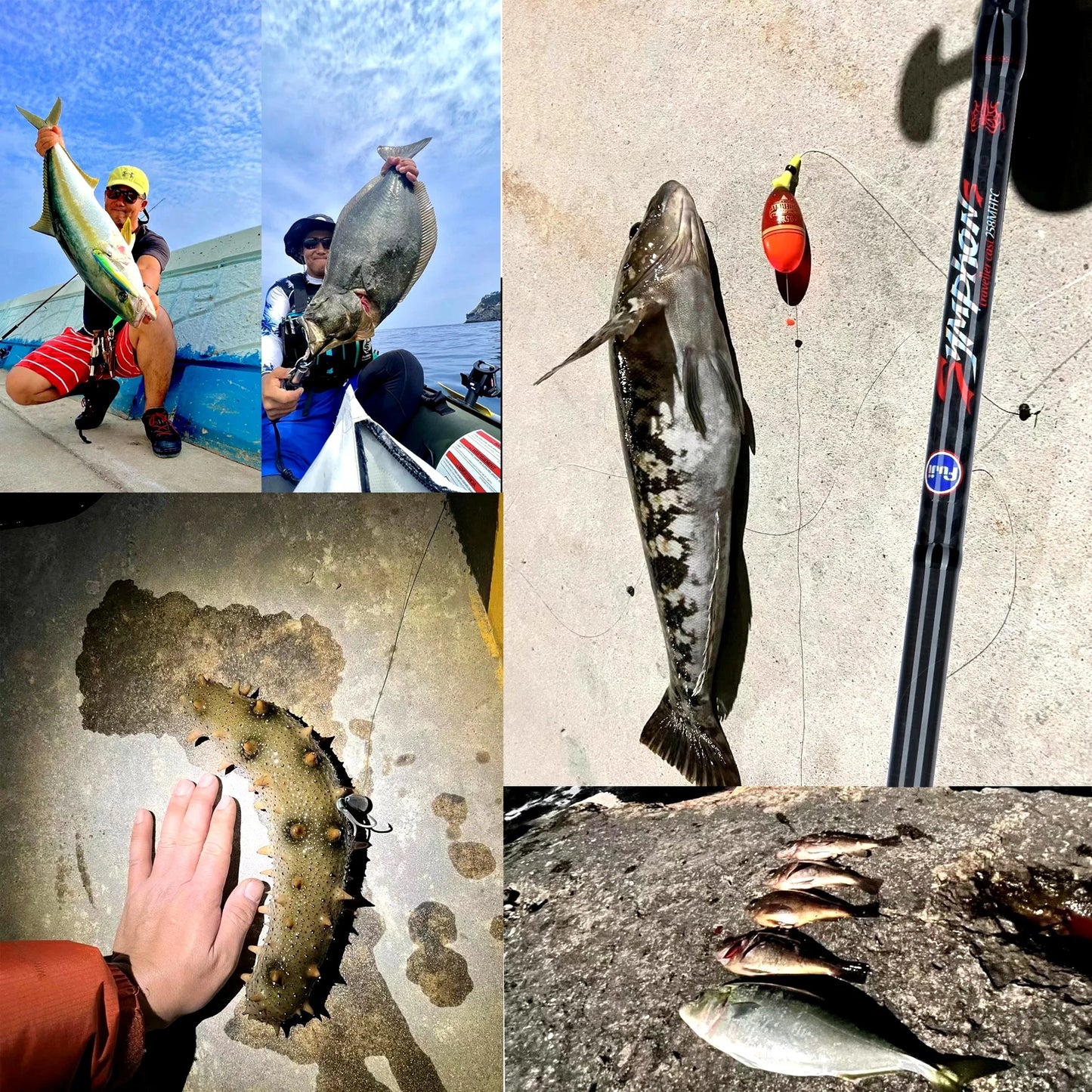BIUTIFU Carbon Fishing Rod for Travelers - Fuji Lure Spinning Casting Rod 1.8-3.0m 5-42g Ideal for Mini Rock Fishing Baitcasting