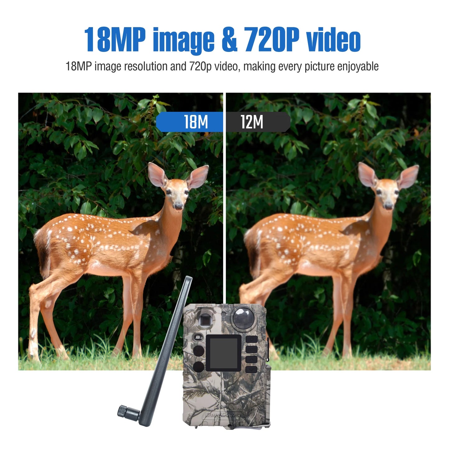 BolyGuard BG310-M Cellular Trail Hunting Camera 4G Wireless 18MP/720P Black IR 940nm Invisible Outdoor Wildlife Security Camera