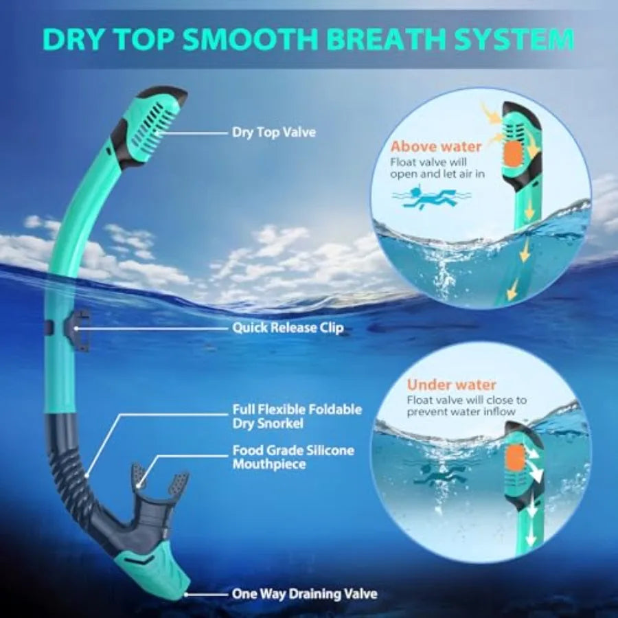 Snorkeling Gear for Adults, Mask Fin Snorkel Set, Dry Top Snorkel, Snorkeling Kit Travel Diving Package, Panoramic View Anti-Fo
