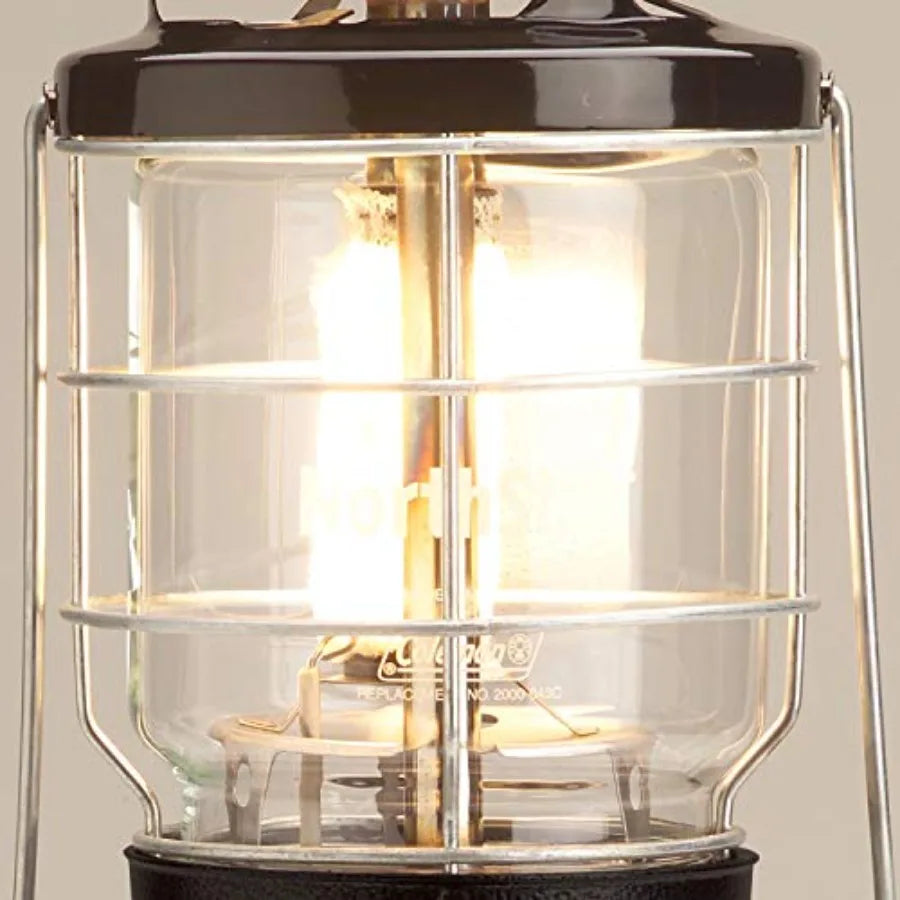 1500 Lumens Gas Lantern with Matchless Lighting Folding Propane Lantern with Mantles Globe for Camping Power Outage Outdoor Lig