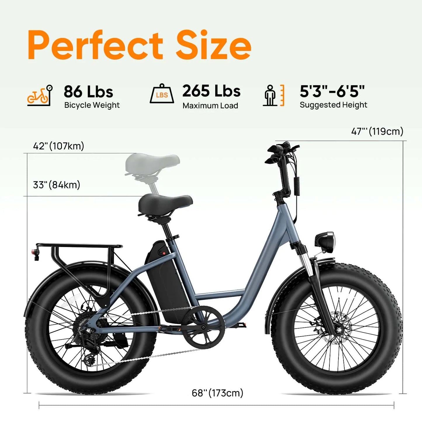 URLIFE E20PRO 20"×4 Fat Tire Ebike Adults 1500W 48V 15.6Ah Battery Front Suspension LCD Display All-Terrain Electric Bicycle