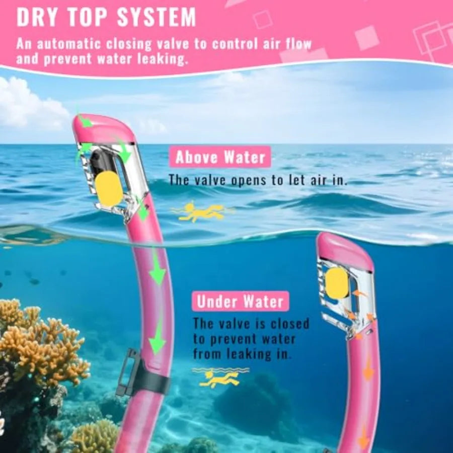 Snorkeling Gear for Adults, Snorkel Set Scuba Diving mask Dry-Top, Adult Swimming Goggles w/Nose Cover, HD Tempered Glass Panor