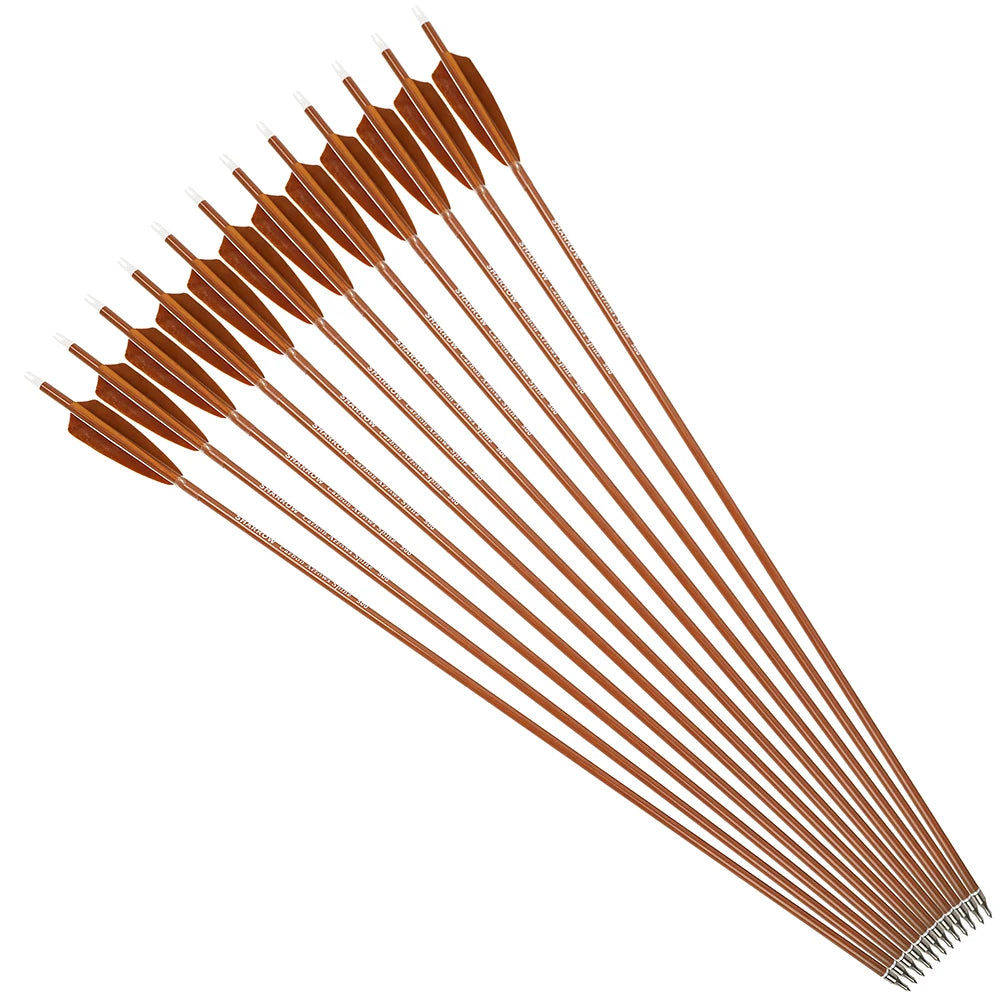 Archery Arrows 12pcs 31.5 Inch Spine 500 Mixed Carbon ID6.2mm Turkey Feathers for Recurve Bow Target Shooting Practice