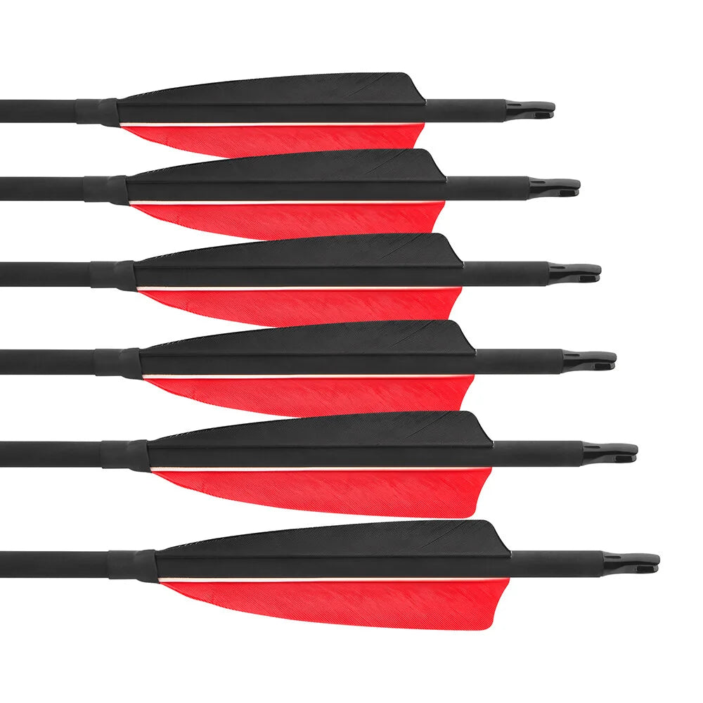 Archery Carbon Arrows 12pcs Spine 500 ID6.2mm OD7.8mm 100 Grain Points 4 Inch Turkey Vanes for Compound Bow Shooting