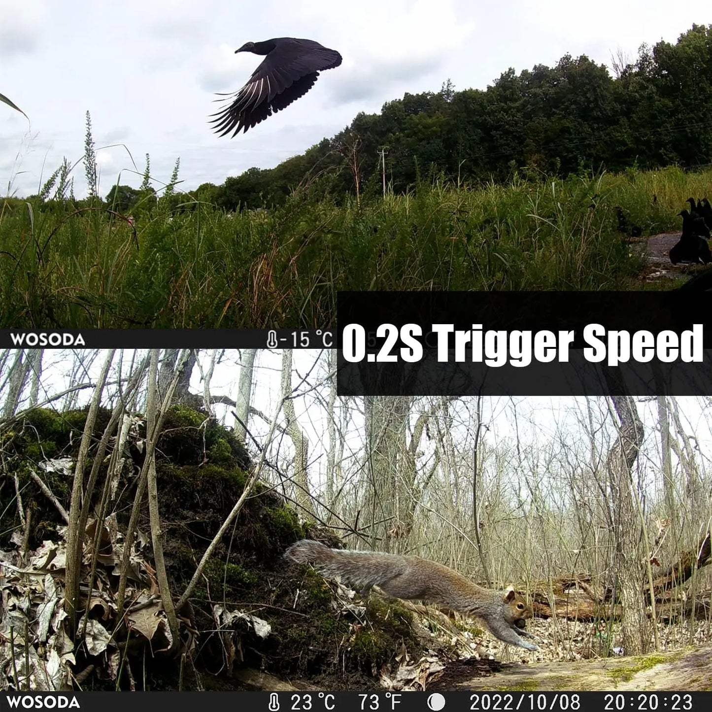 36MP 1920P Trail Camera,Game Camera with Night Vision Motion Activated 0.2s Trigger Time120°Wide Sensor Deer Cam Waterproof with