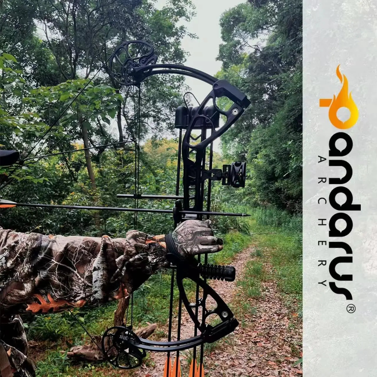 Archery Compounnd Bow Set Fully Adjustable for Adults and Teens,25.4\\"-32\\" Draw Length,30-70LBS Draw Weight,Up to 320 FPS,Lim