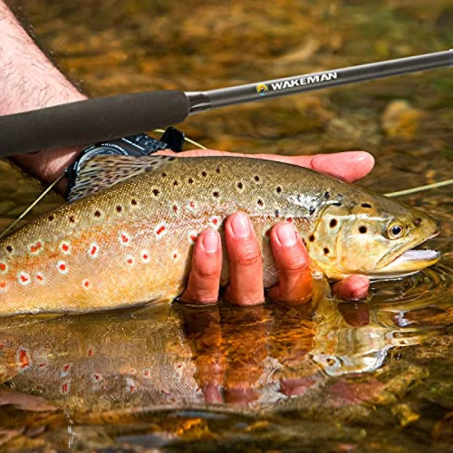 Outdoors Fly Fishing Rod and Reel Combo Starter Kit with Case and Accessories