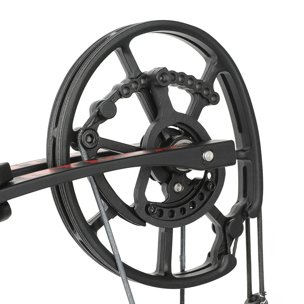 Compound Bow 40-70lbs Dual-Use 420fps 80% Let-off Steel Ball Arrows for Hunting Shooting Target Practice Outdoor Sports
