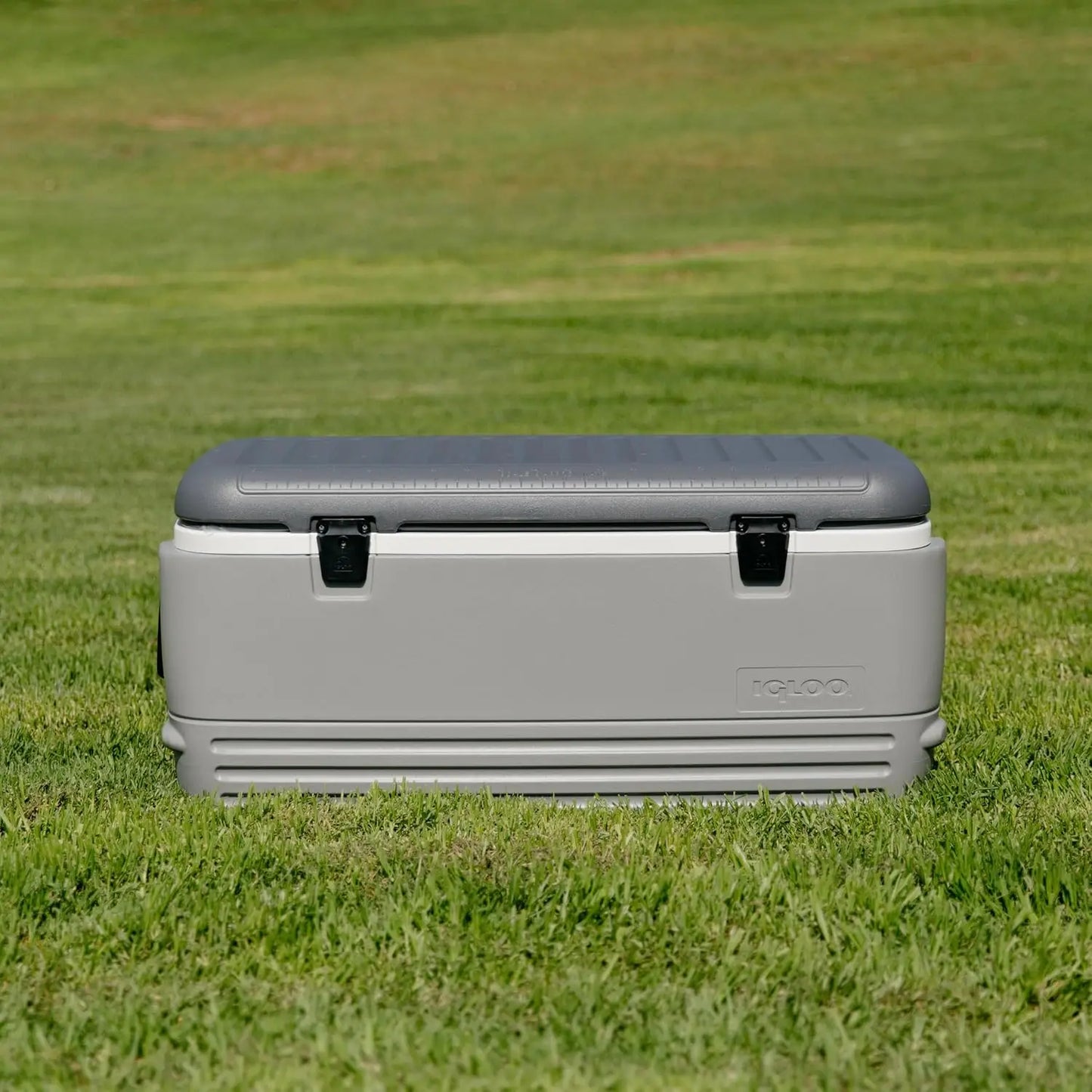 Coolers Ice Chests Party Polar Series