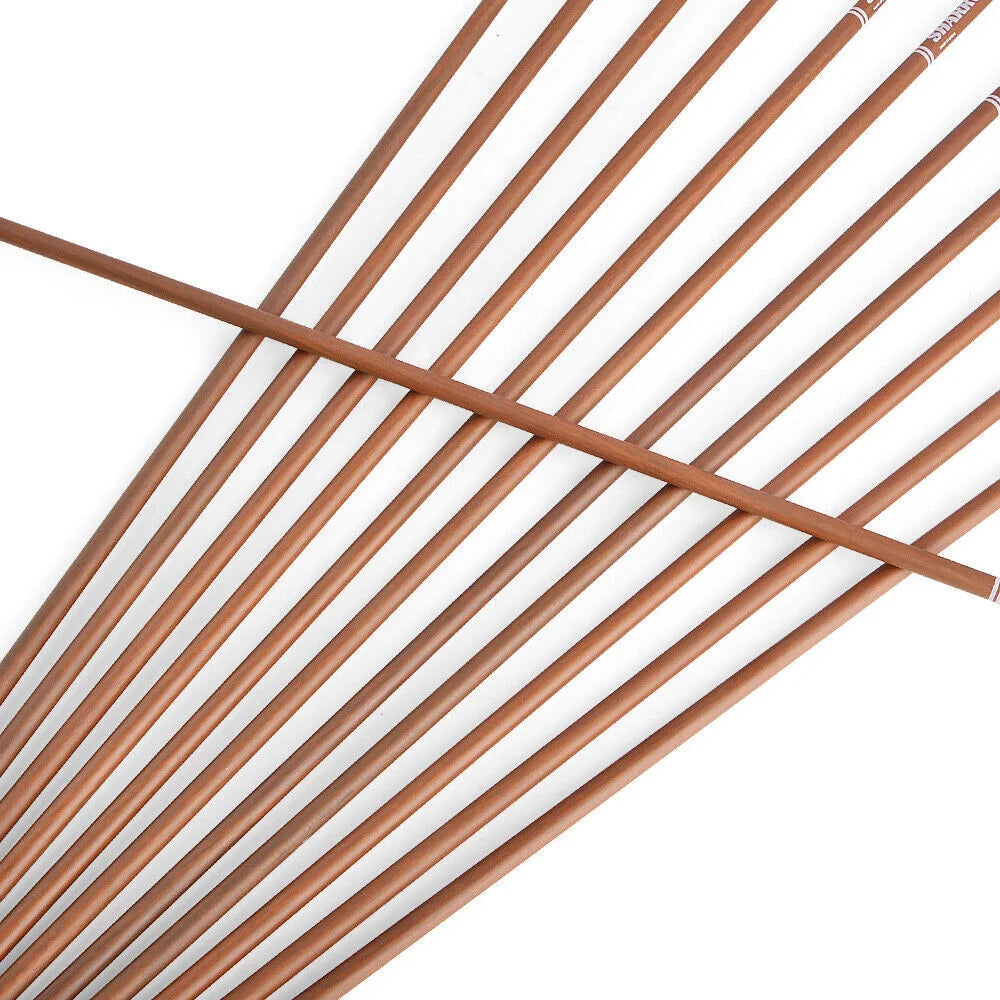 Carbon Arrows 12pcs 31 Inch Spine 340-600 Pure Carbon Shaft with 5 Inch Feathers for Compound Recurve Bow Outdoor Hunting