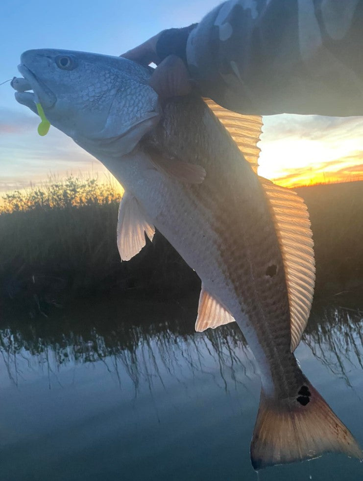 5" Smoke Shad With Built-In Tail Rattle
