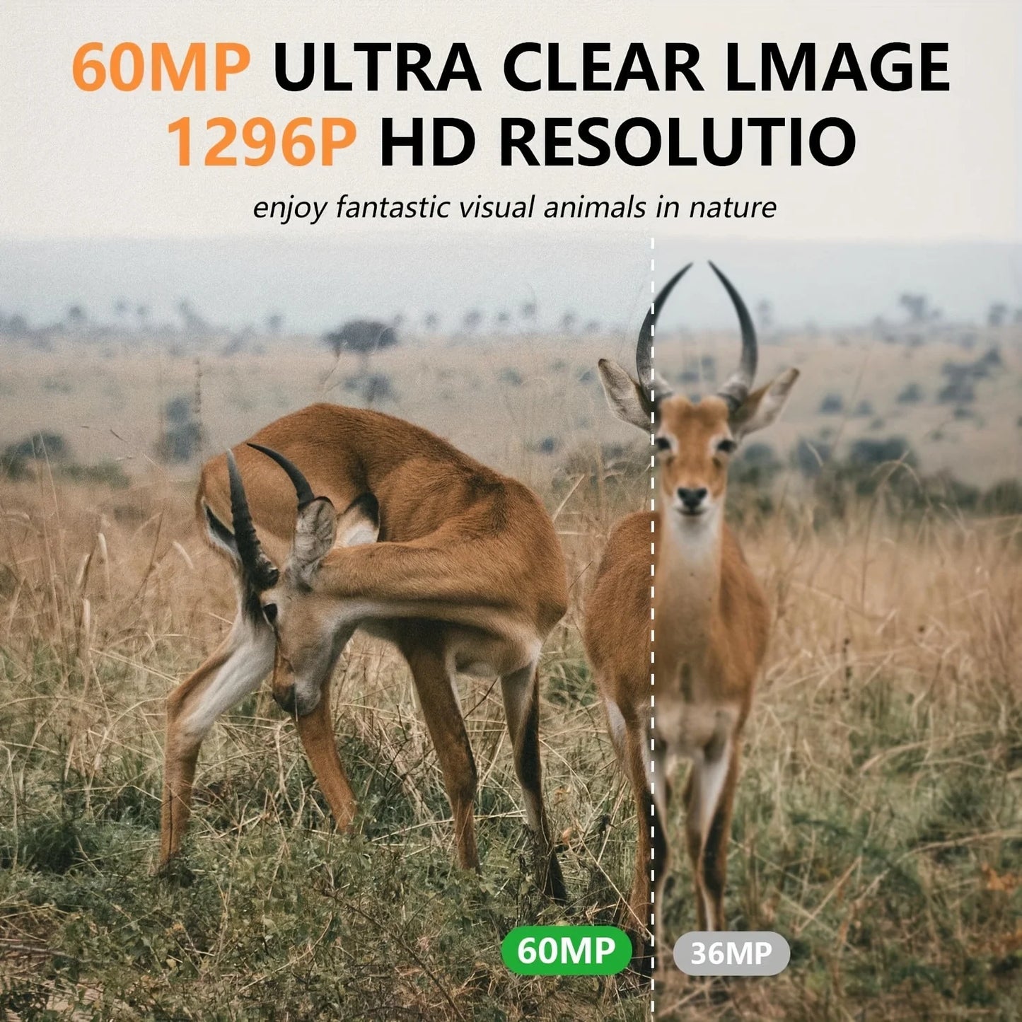 Fargarloo 3PCS Trail Camera with WiFi and APP Control, 60MP Hunting Camera, Motion Activated Night Vision, IP66 Waterproof, 120° Wide Angle with 32GB TF Card for Wildlife Monitoring