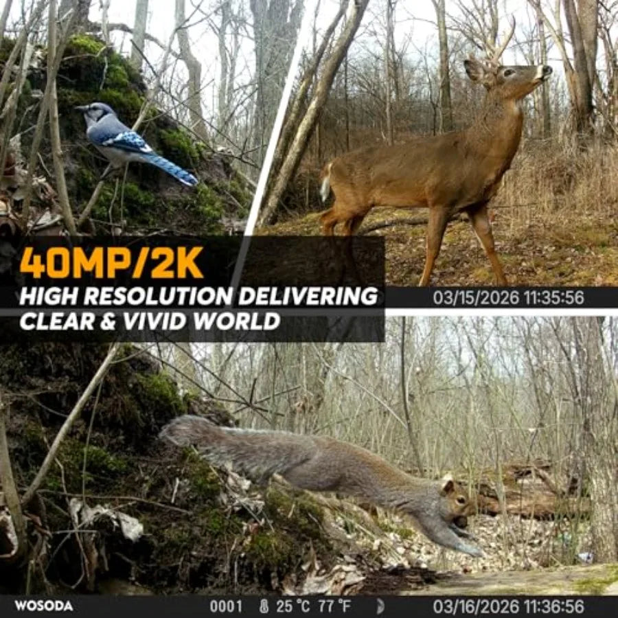 Wildlife monitoring trail cameras: 3-pack, waterproof, night vision, motion-activated, 40MP, 2K HD, black, includes 32GB SD car