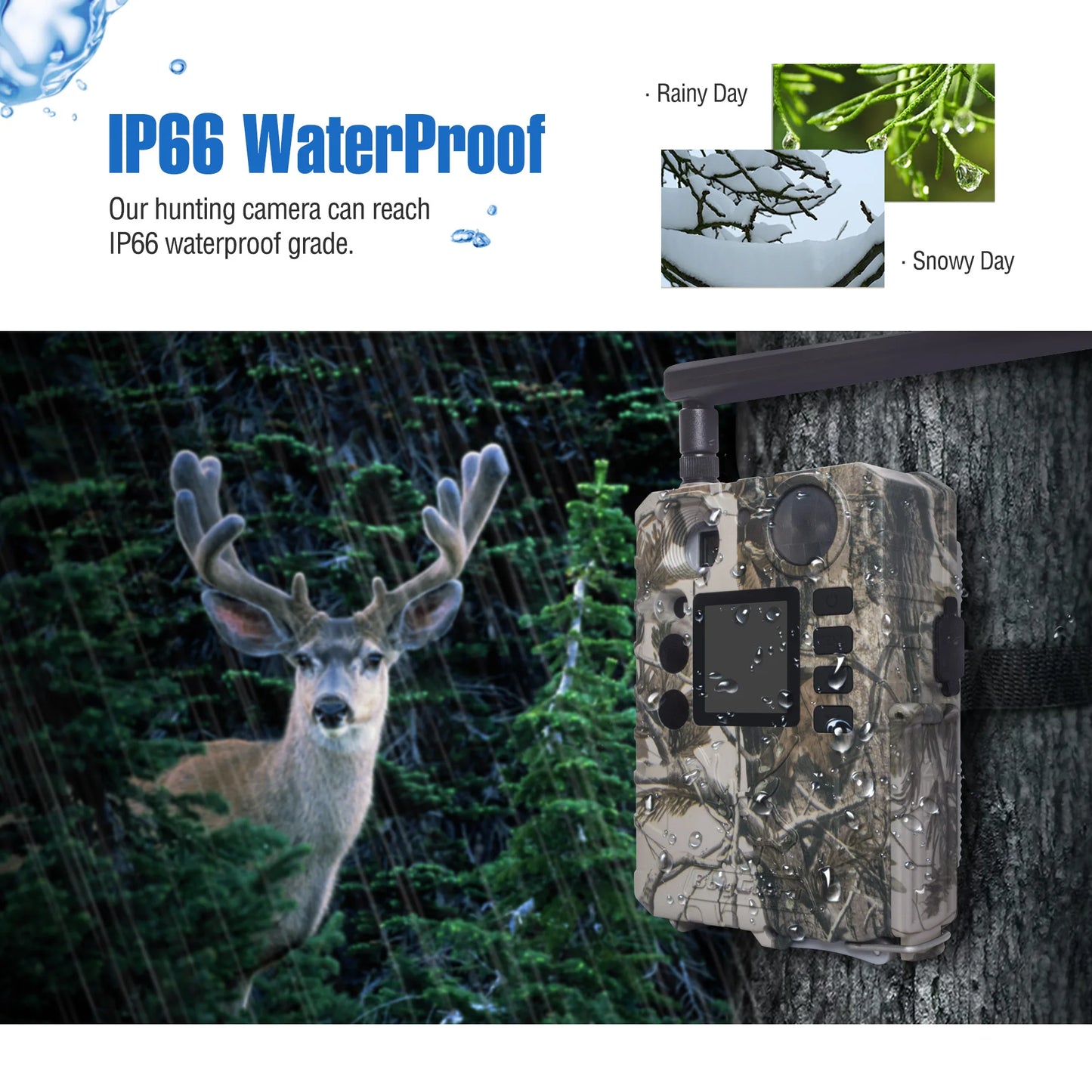 BolyGuard BG310-M Cellular Trail Hunting Camera 4G Wireless 18MP/720P Black IR 940nm Invisible Outdoor Wildlife Security Camera