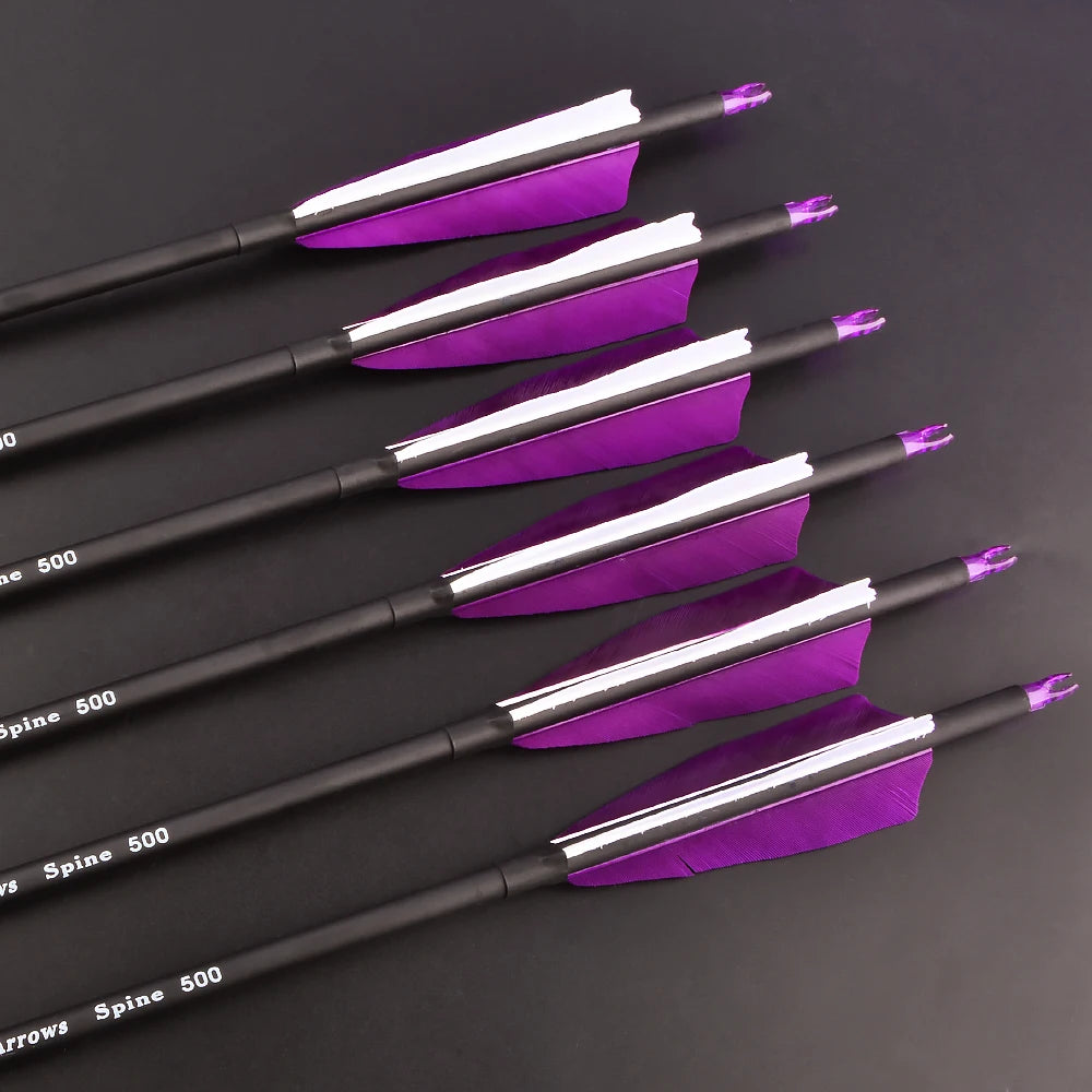 Spine500 Archery Mixed Carbon Arrows ID6.2mm OD7.8mm Shaft 100 Gr Arrowheads 4"Turkey Feather Archery Bow Hunting Shooting 12pcs