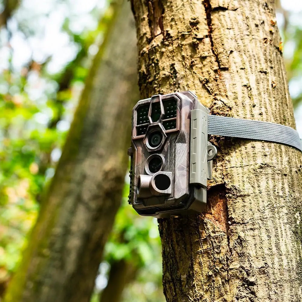 2-Pack Trail Camera, 64MP Photo & 1296P HD Video, 0.1s Trigger, 100ft Night Vision, Motion Activated for Wildlife