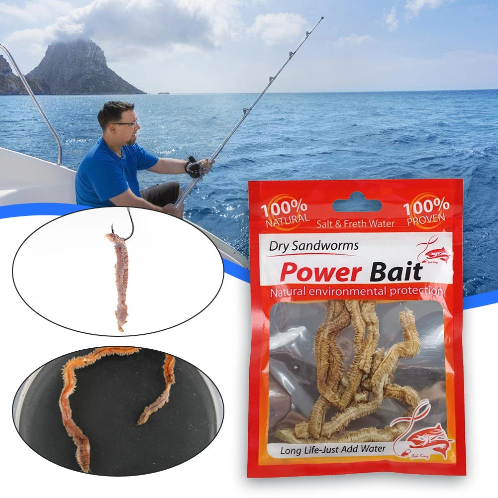 Dry Sandworms Fishing Lures Artificial Bait Lifelike Dry Lugworm Sandworms for Saltwater Freshwater Fishing