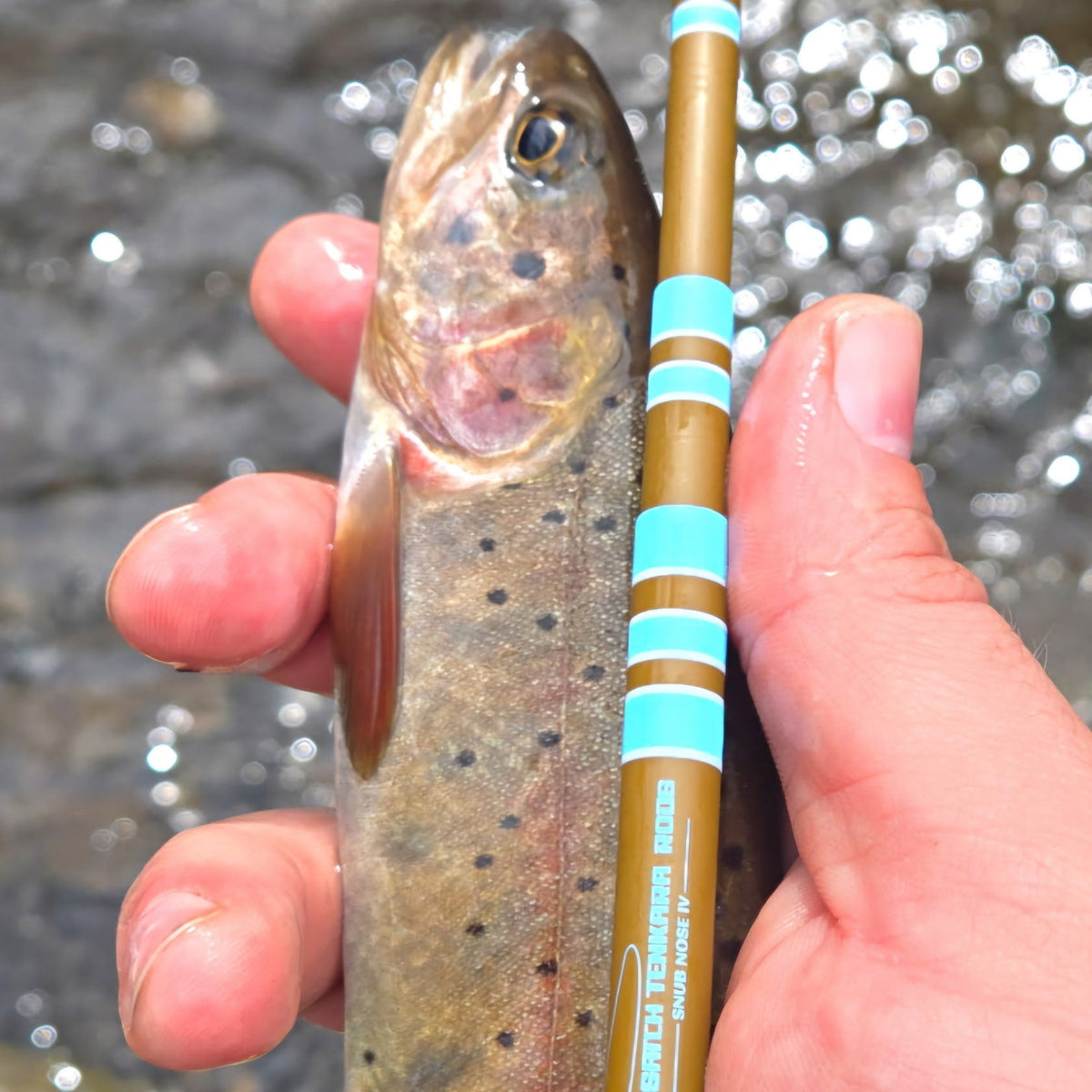 Snub Nose IV Ultra-Compact Tenkara Rod 4'0–5'6 5:5